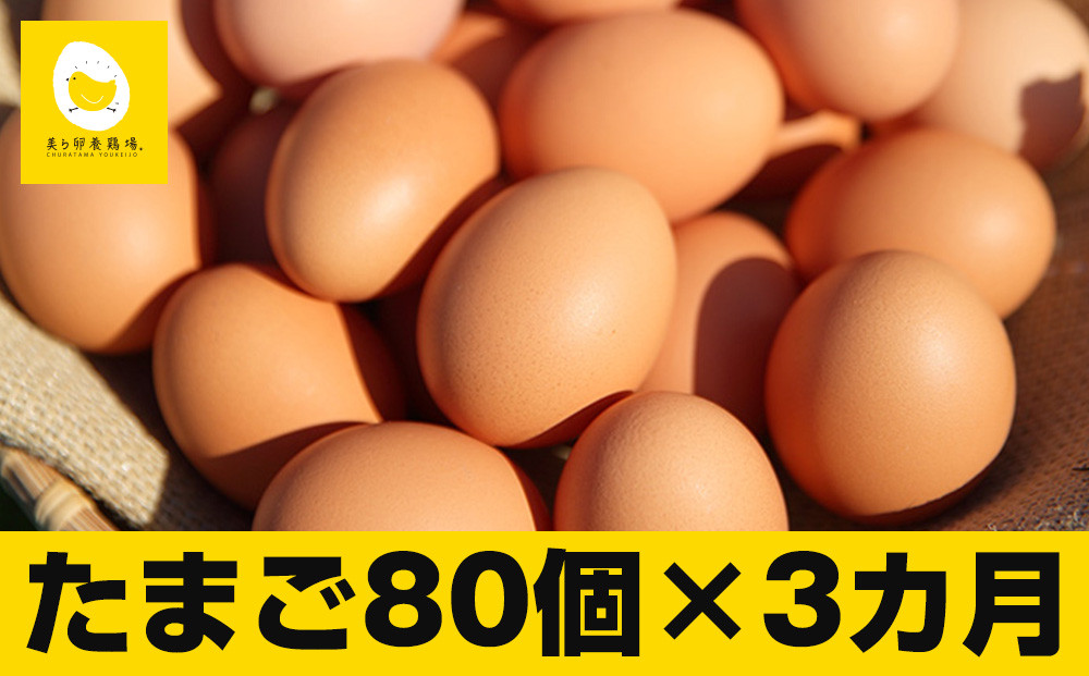 
【定期便】3ヵ月連続お届け　卵の黄身が掴めるほどの新鮮さ　美ら卵養鶏場の卵　各月80個
