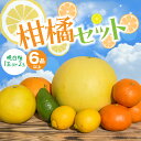 【ふるさと納税】 【先行予約】 【晩白柚の玉数が選べる】 柑橘セット 6品以上（晩白柚1～2玉入り） 柑橘 果物 フルーツ 熊本県産 ばんぺいゆ フルーツ 柑橘 特産品 名産品 お取り寄せ ジャンボサイズ 送料無料 【2024年12月上旬より順次発送】