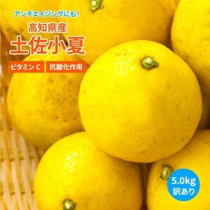 訳あり 小夏5キロ （白浜農園の減農薬小夏）柑橘 みかん ミカン 果物 フルーツ 日向夏 おやつ デザート 美味しい ワケアリ ご自宅用【R01153】