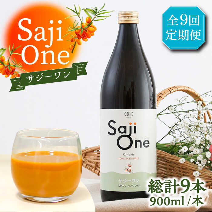 【ふるさと納税】【全9回定期便】サジー ジュースが毎月届く！SajiOneオーガニック 1本《豊前市》【ハウスボトラーズ】[VAX029]