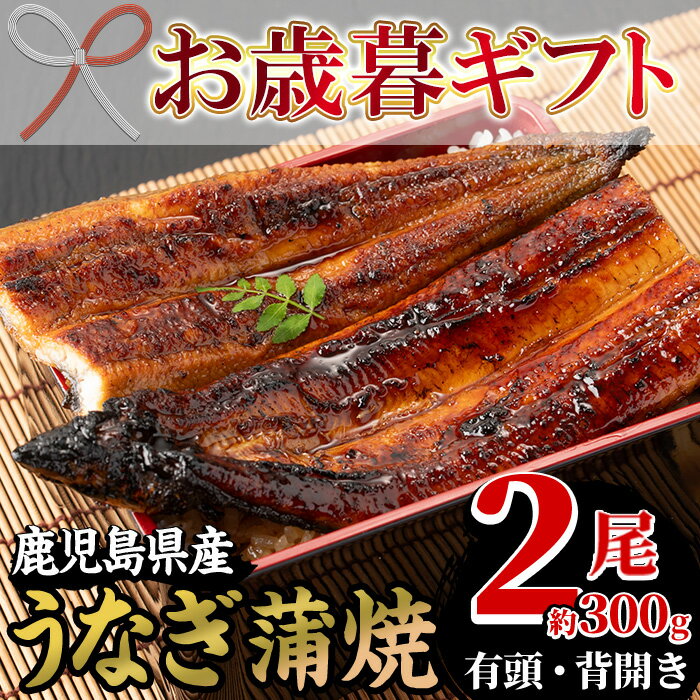 【ふるさと納税】＜2025年お歳暮ギフト＞国産うなぎ(鹿児島県産うなぎ)蒲焼(2尾・約300g) 国産 国産魚 九州産 鹿児島県産 魚 魚介 鰻 うなぎ ウナギ 蒲焼 蒲焼き 惣菜 冷凍 プレゼント 贈答品【南竹鰻加工】