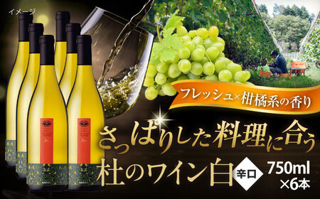 杜のワイン白 6本セット 白ワイン 辛口 お酒 セット ぶどう 島根県雲南市/有限会社奥出雲葡萄園[AICS093]