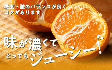 伊勢志摩産 こだわりみかん 約6kg 令和7年 1月 ／ ないぜしぜん村 みかん ミカン 蜜柑 送料無料 産地直送 フルーツ 果物 内瀬 甘い 濃厚 ジューシー  先行予約 三重県 南伊勢町