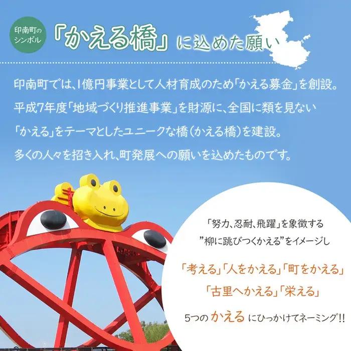 みかんジュース 720ml×3本セット『金蜜（きんみつ）』糖度13度以上 本家六代目上門農園の傑作