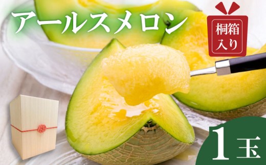メロン 1玉 【 贈答用 】 アールスメロン 先行予約 青肉 めろん 果物 くだもの フルーツ ギフト 贈答 melon meron 産地直送 旬 お取り寄せ 甘い 茨城県 鉾田市 ふるさと納税メロン 鉾田メロン nga032