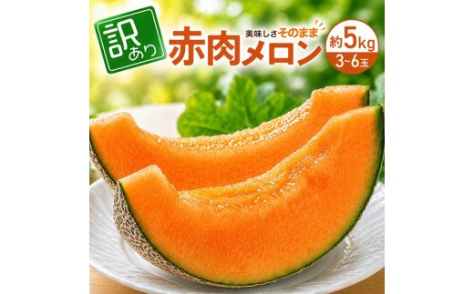 訳アリ　赤肉メロン　優品　約5kg(3~6玉入) SA2976