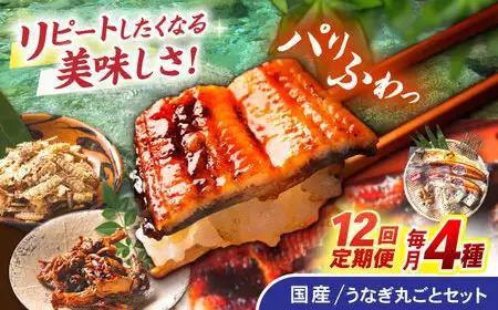 【12回定期便】【諫早淡水】うなぎまるごとセット / うなぎ 蒲焼 白焼き たれ 肝 / 諫早市 / 諫早淡水株式会社 [AHAT017]