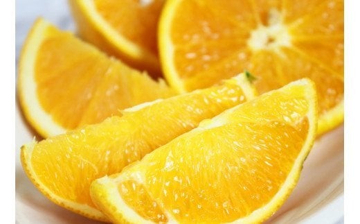 
                  【先行予約】【国産】希少バレンシアオレンジ 5kg ※2027年6月下旬頃～7月上旬頃順次発送予定 / みかん 果物 くだもの 柑橘 フルーツ オレンジ 和歌山 【uot711A】
                