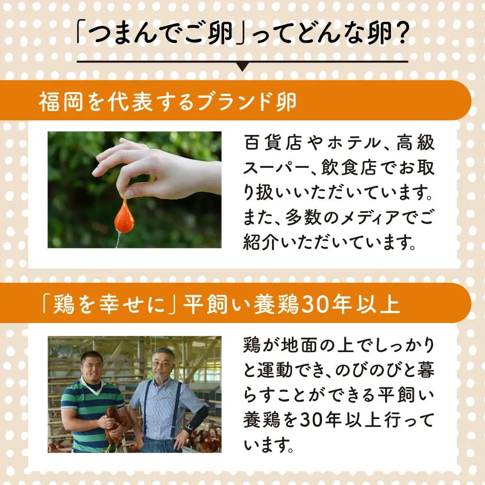 つまんでご卵 卵 大サイズ 40個 セット [AGA011] たまご