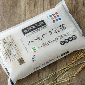 【ふるさと納税】令和7年 産 新米 北上産 無洗米 米 『 銀河のしずく 』 5kg 2025年産 お米 ご飯 国産 産地直送 ブランド米 オリジナル 品種 千田さん のお米 岩手県 北上市 D0545 ※10月中旬頃発送開始予定