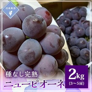 【先行予約 2025年発送】岡山県産　種なし完熟 ニューピオーネ　3房～5房(合計2kg)【配送不可地域：離島】【1562279】