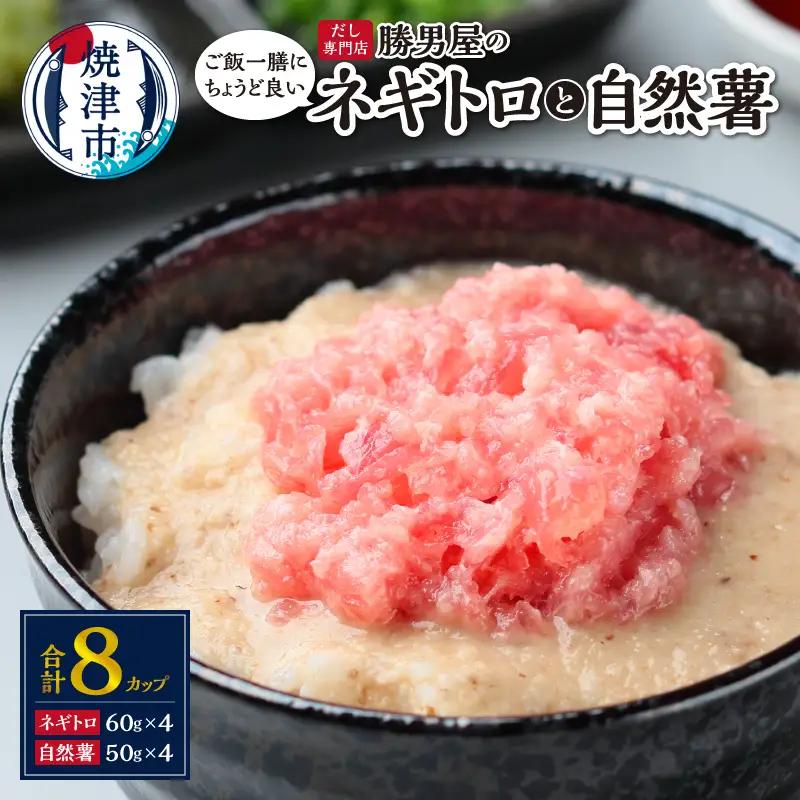 だし専門店「勝男屋」の一膳とろトロ 自然薯・ネギトロセット (a12-224)