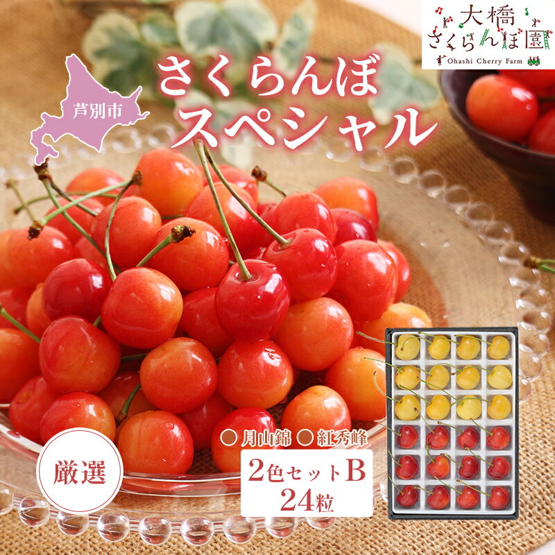 【ふるさと納税】先行予約 厳選 さくらんぼ スペシャル 2色 セット B 24粒 （赤・黄） 紅秀峰 月山錦 食べ比べ フルーツ 果物 季節のフルーツ 旬 旬のフルーツ 夏 化粧箱 ギフト 贈り物 贈答 プレゼント 冷蔵 冷蔵配送 北海道 芦別市　お届け：2026年7月中旬頃～