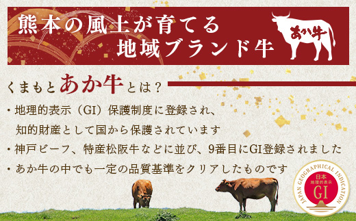【GI認証】くまもと あか牛 ハンバーグ《ご家庭用》150g×10個 あか牛100％ 赤身 冷凍 熊本県産 あかうし はんばーぐ 惣菜 おかず 和牛 牛肉 オオツカ 073-0409