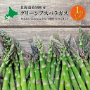 【ふるさと納税】十勝幕別町産 グリーンアスパラ1kg M～2L混合［山田敏明牧場］【2025年5月出荷開始】 北海道 野菜 アスパラガス　幕別町　お届け：2025年5月中旬～2025年6月上旬