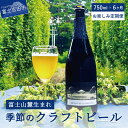 【ふるさと納税】 定期便 お楽しみ 6回 ビール クラフトビール 750ml 季節のクラフトビール シャンパンボトル ワイングラスで飲む BRIGHT BLUE BREWING