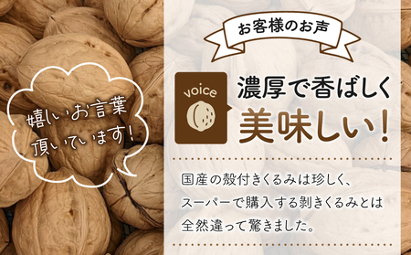 2026年産 長野県東御市産 殻付き信濃くるみ 1kg（品種 清香 500g、東晃 500g）※2026年11月以降発送
