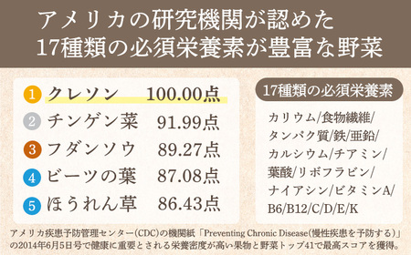 《美容や健康が気になる人に!》無添加クレソンパウダー 国産の和蘭芥子100%使用　TF0794-P00074 