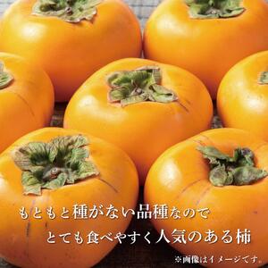 【2024年発送】種なし柿 7kg以上【和歌山グルメ市場】