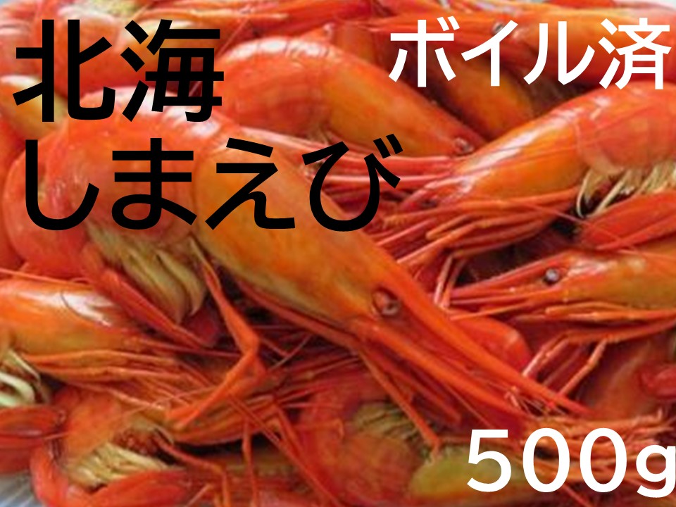 北海縞海老（シマエビ) 500g えび しまえび 北海道しまえび エビ 海老 冷凍 ボイル済