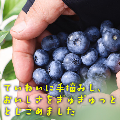 【山の恵みぎゅっと!】手摘みブルーベリージュース　720ml 【3本セット】