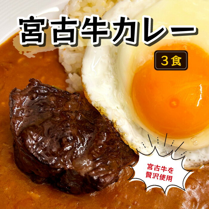 【ふるさと納税】【宮古牛を贅沢使用】宮古牛カレー（3食）(GE006)