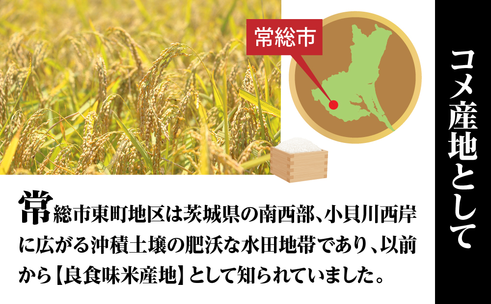 令和7年産特別栽培米 コシヒカリ 5kg お米 ※2025年9月中旬頃より順次発送予定