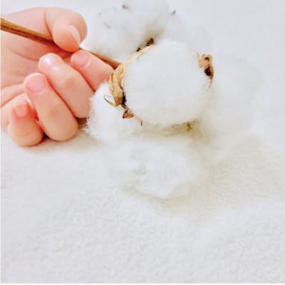 ふるさと納税 和歌山市 【Lサイズ50×70】2枚組 自然のままの無着色コットンガーゼ枕パッド OG-5L-2P |  | 03