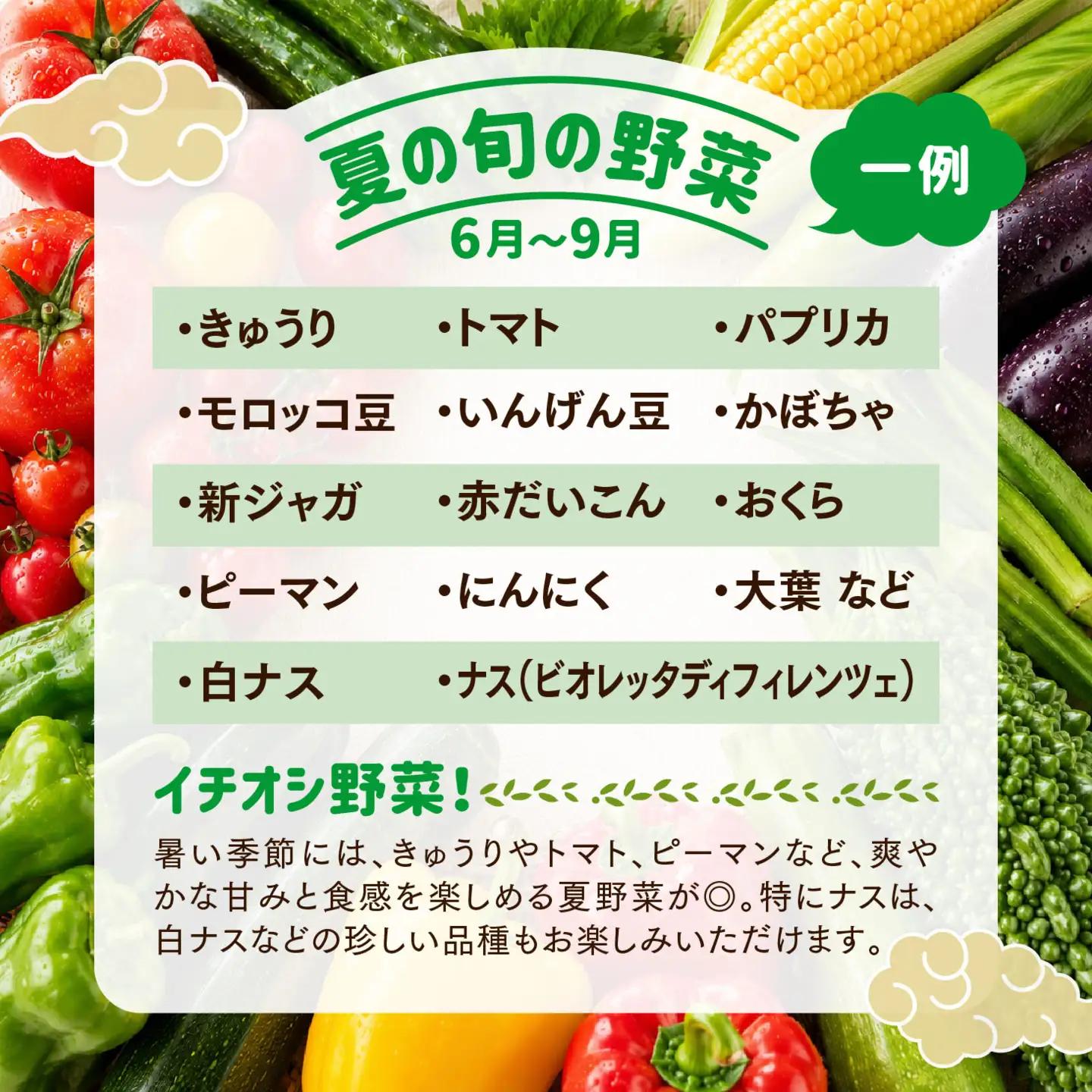 【定期便3回】久万高原 天空の旬野菜便2kg【面河特産品開発センター厳選】｜野菜詰め合わせ 5〜6品目 新鮮野菜 定期便 愛媛県産 産地直送