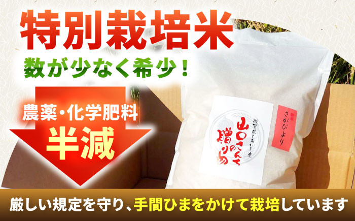 家族で一緒に楽しめるお米とカレーのセット