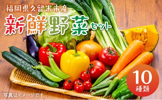 
										
										福岡県久留米市産 新鮮野菜セット
									