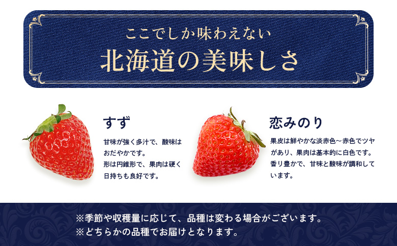 【受注後、随時発送！】【北海道産】ゆきいちご（すずor恋みのり） ２Pセット 各250g×２ 計500g【5900501】