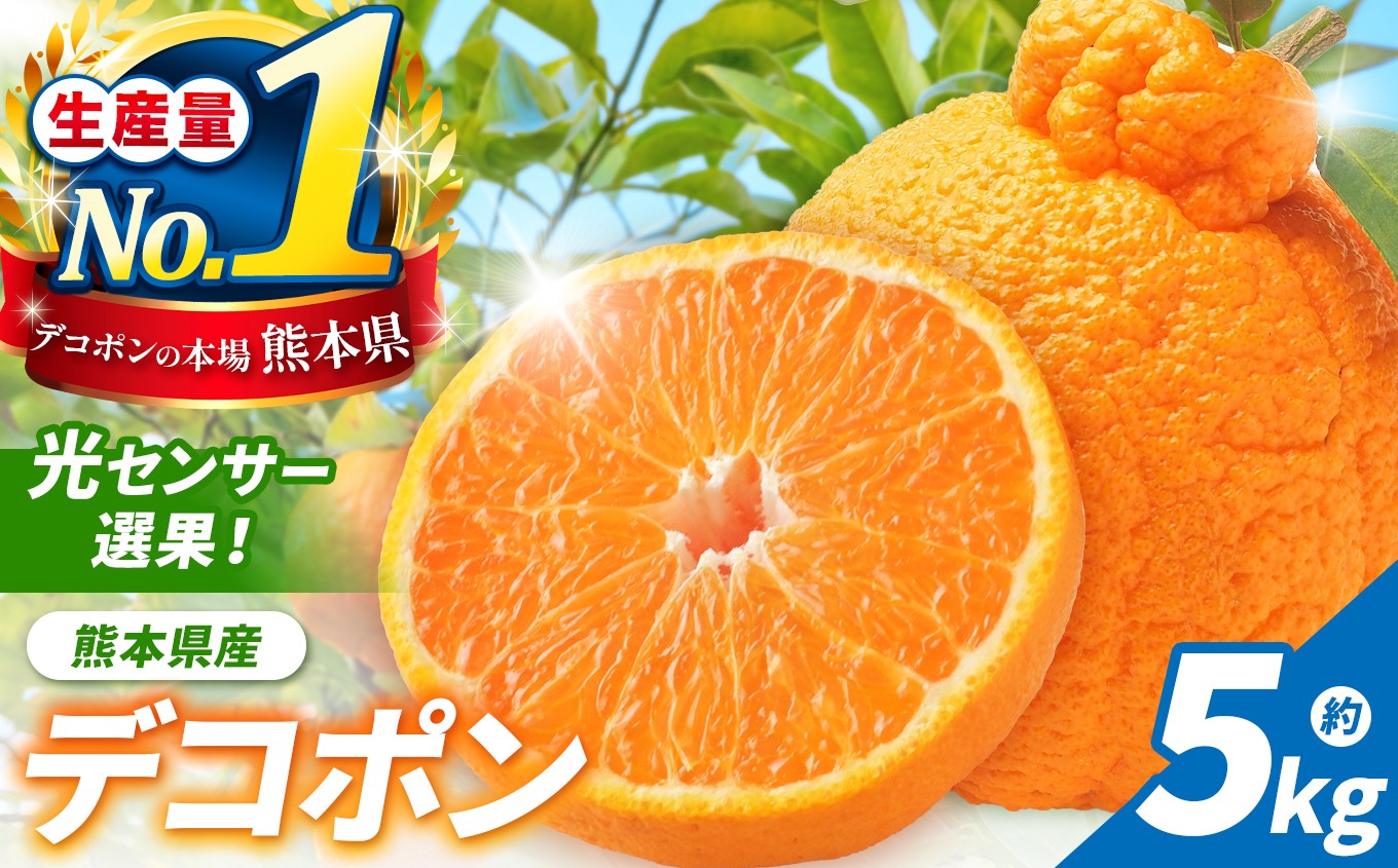 
                  光センサー 選果！ 熊本県産 デコポン 約 5kg | 果物 くだもの フルーツ 柑橘 柑橘類 不知火 でこぽん みかん 旬 味覚 熊本県 玉名市
                