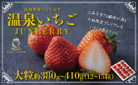 【1610】鳥取県産とっておき「温泉いちごJUNBERRY」