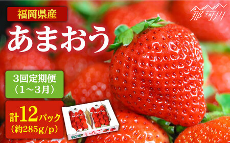 【全3回定期便】2026年1月よりお届け いちご あまおう 約285g×4P 『自然環境農法』栽培＜おおきべりー株式会社＞ 那珂川市 いちご いちご いちご いちご いちご いちご いちご [GZE004]