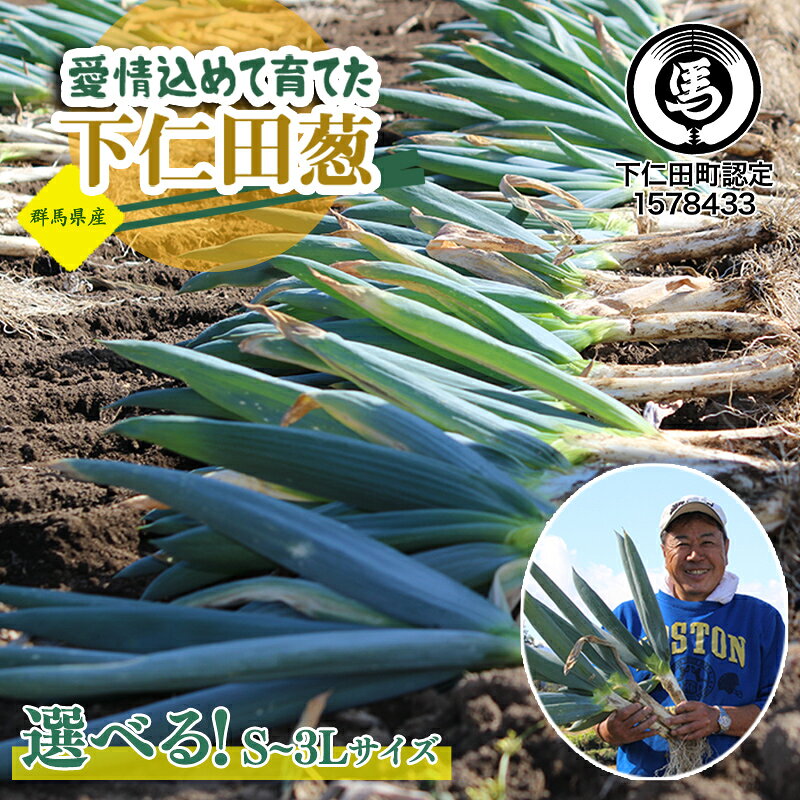 【ふるさと納税】愛情込めて育てた下仁田葱 選べるサイズ S・M・L・LL・3L・食べ比べ とろける 甘い ねぎ ネギ 王様ねぎ 殿様ねぎ 特産 栄養たっぷり ブランド 上州ねぎ すきやき F21K-567var