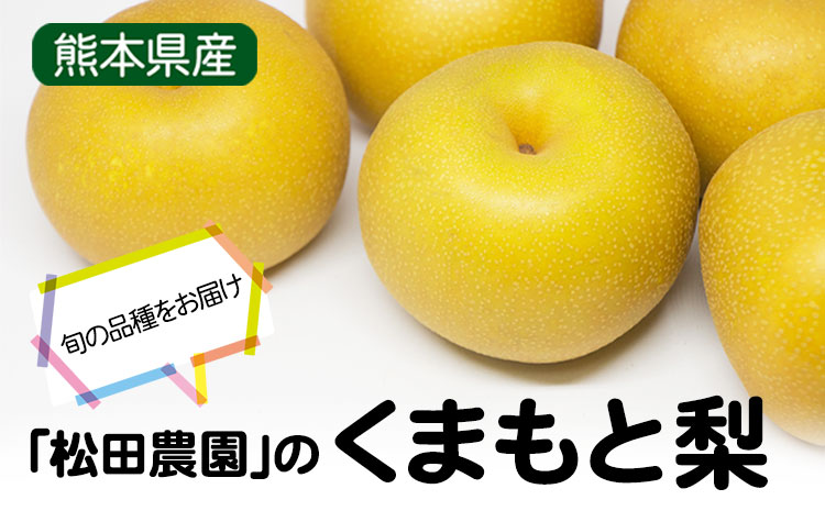 秋 旬 梨 期間限定 【日付指定不可】梨 『松田農園』の くまもと 梨 たっぷり 約2kg 5-7玉前後 予約 受付中 熊本県玉名郡玉東町『松田農園』なし 果物 スイーツ フルーツ デザート スムージ