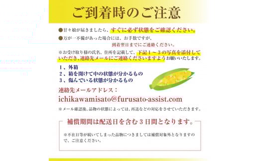 【2025年6月上旬から発送】プレミアムとうもろこし「甘々娘」6本入 山梨県市川三郷町産Inakakara[5839-1817]