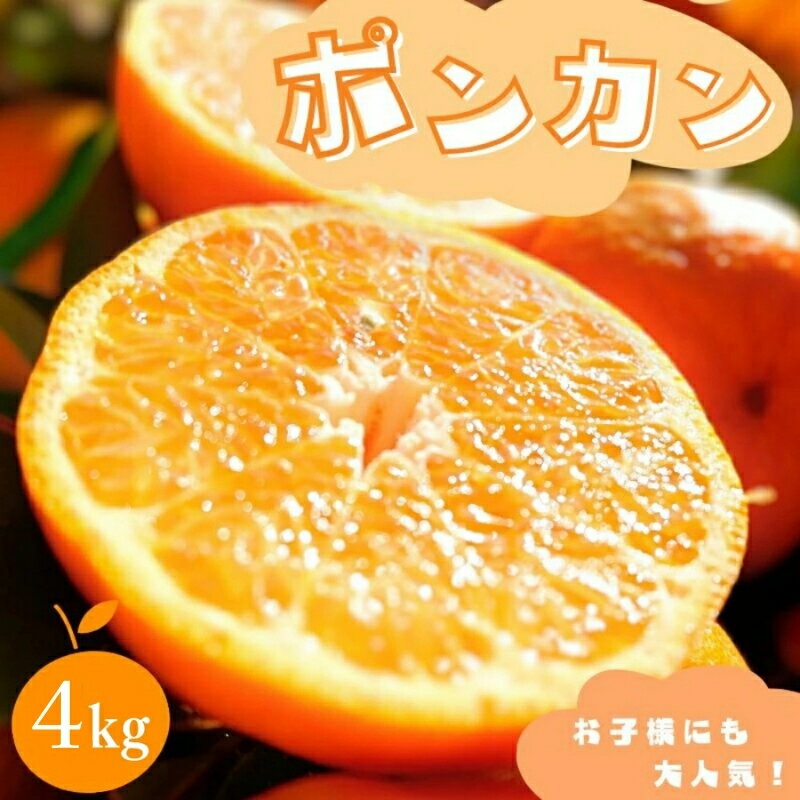 【ふるさと納税】【先行予約】ポンカン 【秀品】 4kg （サイズ混合） 【2026年1月より順次発送】 / みかん ミカン 蜜柑 ポンカン 和歌山 田辺市 紀州 くだもの 柑橘 フルーツ