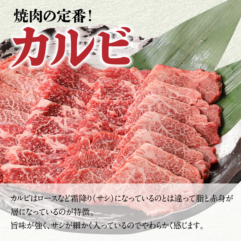 宮崎牛カルビ焼肉 500gN0140-YA3342_イメージ2