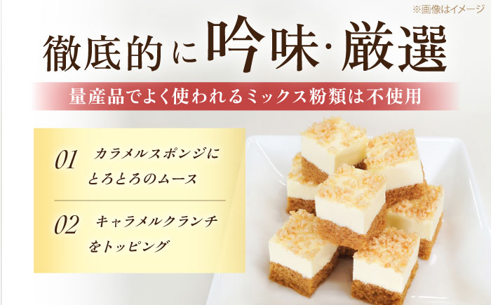 とろっと！プリンムース 【ファミール製菓株式会社】 [AKCI026]