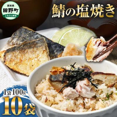 ふるさと納税 田野町 〜四国一小さなまち〜 焼き塩鯖 10袋