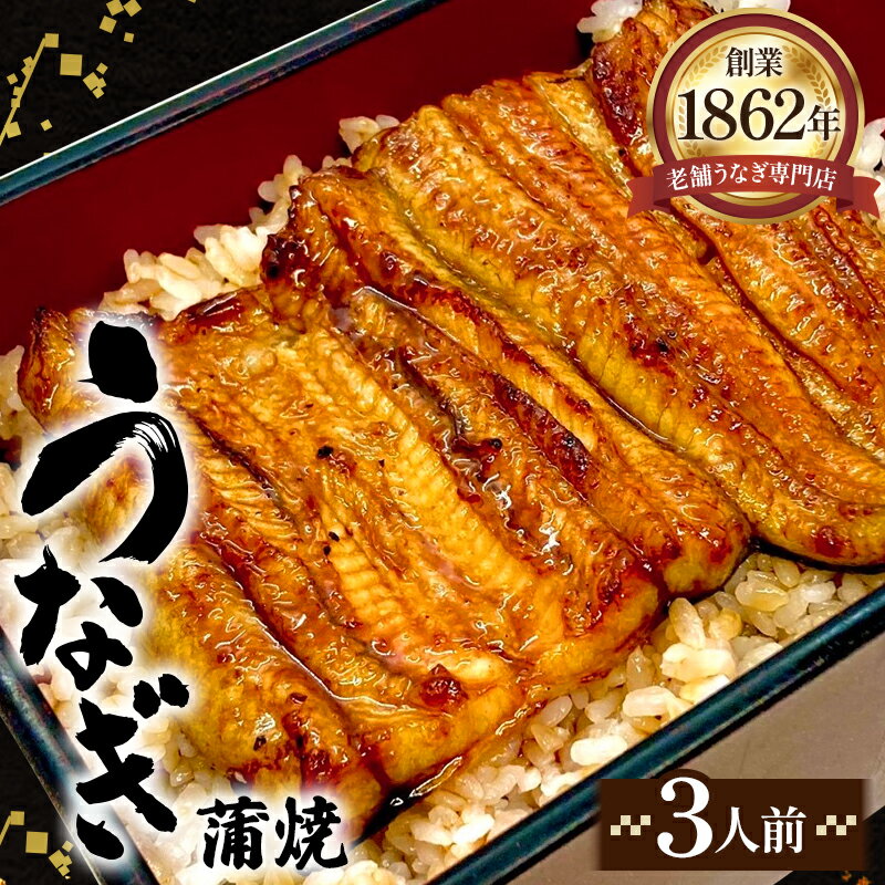 【ふるさと納税】No.413 うなぎ蒲焼（真空パック）3人前 ／ 鰻 ニホンウナギ 厳選 送料無料 埼玉県