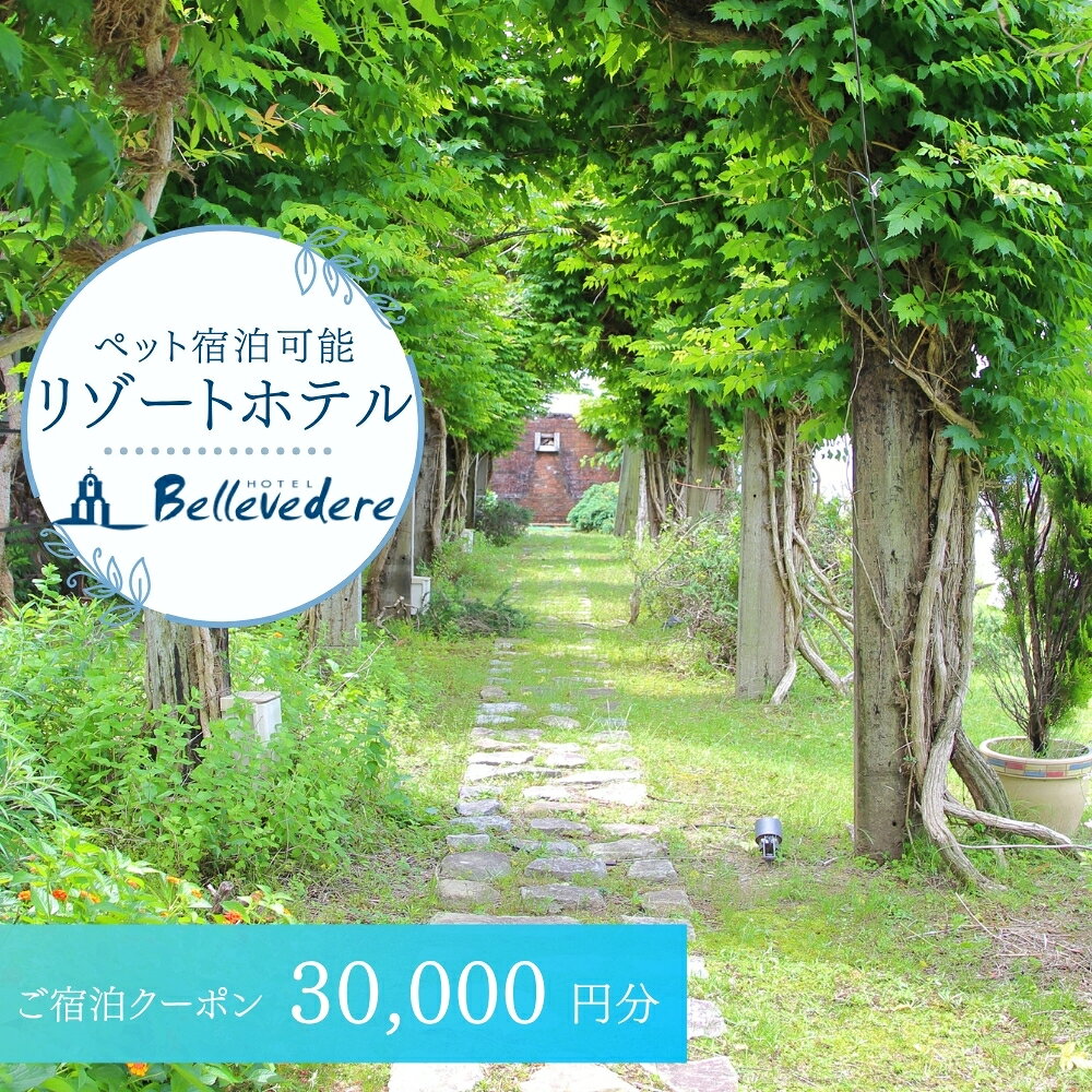 【ふるさと納税】 ホテルベルヴェデーレ 宿泊クーポン 30,000円分 宿泊チケット リゾートホテル 和歌山 紀南 南紀 観光 / 宿泊券 宿泊チケット 一泊二日 和歌山 紀南 南紀 観光【iki109】