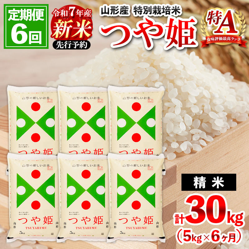 【定期便6回】 先行予約 令和7年産 新米 山形産 特別栽培米 つや姫 5kg×6ケ月(計30kg)【11月発送開始】 FZ25-088