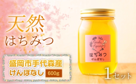 けんぽなし 蜂蜜 600g 1セット 国産 はちみつ 天然 無添加 無加工 盛岡市手代森産 季節の蜂蜜 希少 濃厚 上品な香り スイーツ ご褒美 美容 美肌 ギフト プレゼント 贈答用 岩手県 盛岡市 東北 岩手 盛岡 大西養蜂場