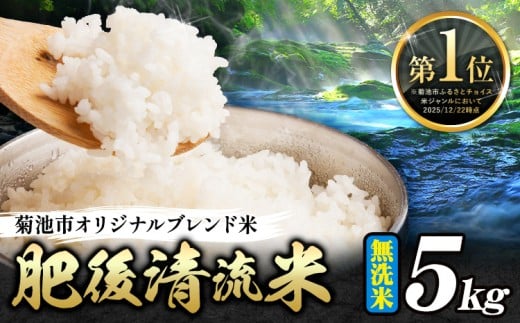 熊本県産 無洗米 肥後清流米 5kg 熊本県産 ふるさと納税 精米 米 こめ ふるさとのうぜい コメ お米 おこめ《7-14日以内に出荷予定(土日祝除く)》