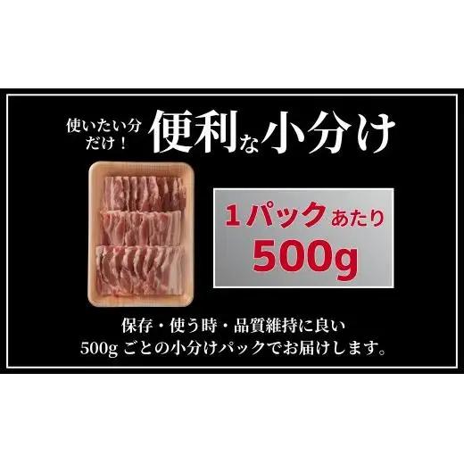 《定期便》長崎県産豚 バラ焼肉用 計1kg(500g×2)【6回お届け】