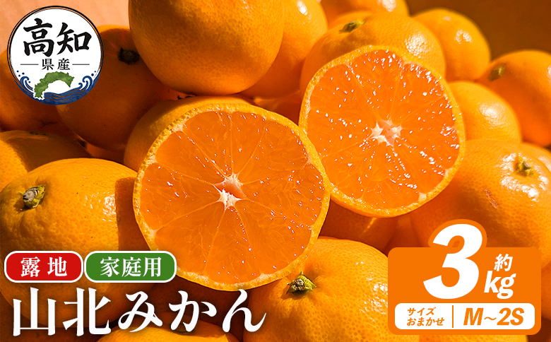 山北みかん（露地） 3.0kg 家庭用 sq-0002