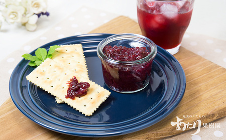 2026年発送【あたり果樹園】奄美大島産 すもも(プラム)約3kg 鹿児島県 奄美群島 奄美大島 龍郷町 国産 奄美産 青果 果物 くだもの フルーツ すもも スモモ プラム 南国 初夏の果実 甘酸っ